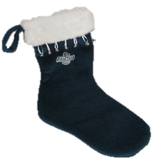 SANTA STOCKING