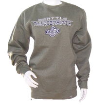 THUNDERBIRDS HOCKEY FREEMAN