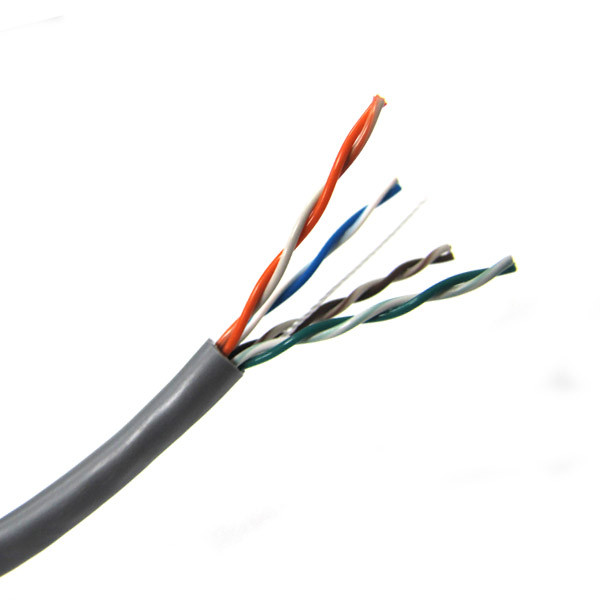 Black Box Network Services Cat5e cm/PVC Cable 1000 