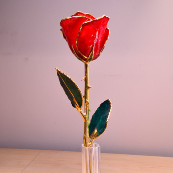 Real semi-opened rose, with petals dipped in rich red lacquer and trimmed in 24kt gold. Stem is approximately 12" long and is heavy gold plated. Each rose is elegantly wrapped in gold tissue and packaged in a gold, two-piece outer box. Price includes the vase, and regular shipping.