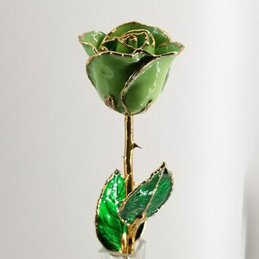 Real semi-opened rose, with petals dipped in rich green lacquer and trimmed in 24kt gold. Stem is approximately 12" long and is heavy gold plated. Each rose is elegantly wrapped in gold tissue and packaged in a gold, two-piece outer box. Price includes the vase, and regular shipping. Available in other colors. Call for color choices.