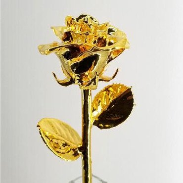 Real semi-opened rose, with petals dipped in rich gold lacquer and trimmed in 24kt gold. Stem is approximately 12" long and is heavy gold plated. Each rose is elegantly wrapped in gold tissue and packaged in a gold, two-piece outer box. Price includes the vase, and regular shipping. Available in other colors. Call for color choices.
