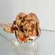 Real semi-opened rose, with petals dipped in rich rose gold lacquer and trimmed in 24kt gold. Stem is approximately 12" long and is heavy gold plated. Each rose is elegantly wrapped in gold tissue and packaged in a gold, two-piece outer box. Price includes the vase, and regular shipping. Available in other colors. Call for color choices.