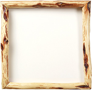 Diamond Willow Wood