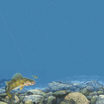 Mark Susinno - Artist
