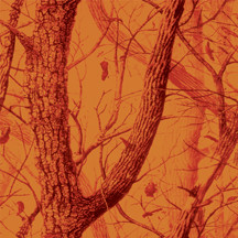 Realtree Blaze Orange®12"x 12"ScrapBook camouflage paper