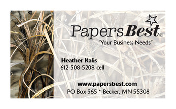 250 Business Cards (BZ01)