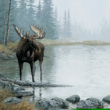 Moose Print Scrapbook 12x12
