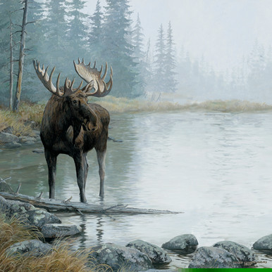 Moose Print Scrapbook 12x12