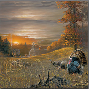 Turkey in the Field by Art Anderson