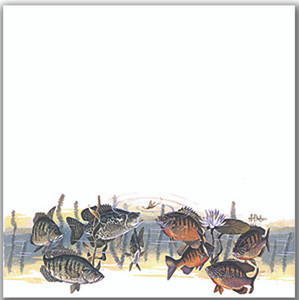 Panfish Bonanza (Les Kouba)
