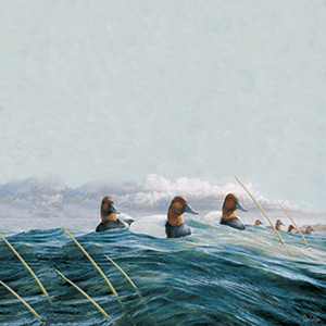 The Passing Storm by Ron Van Gilder (Ducks)
