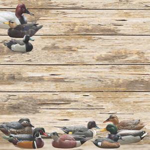 Sitting Ducks by Phil Galatas