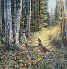 Grouse by Jim Kasper