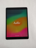 Apple iPad Pro 10.5 (1st Gen) A1701 256 GB iOS 17.7.10 (WiFi Only)