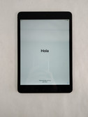 Apple iPad Mini 2nd Gen A1489 16 GB iOS 12.5.7 (WiFi Only)