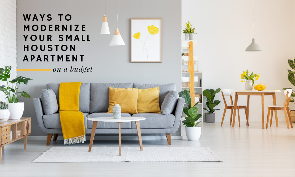 5 Ways to Modernize Your Small Houston Apartment on a Budget BiRite