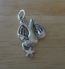 15x23mm Peace Dove & Olive Branch Star Sterling Silver Charm
