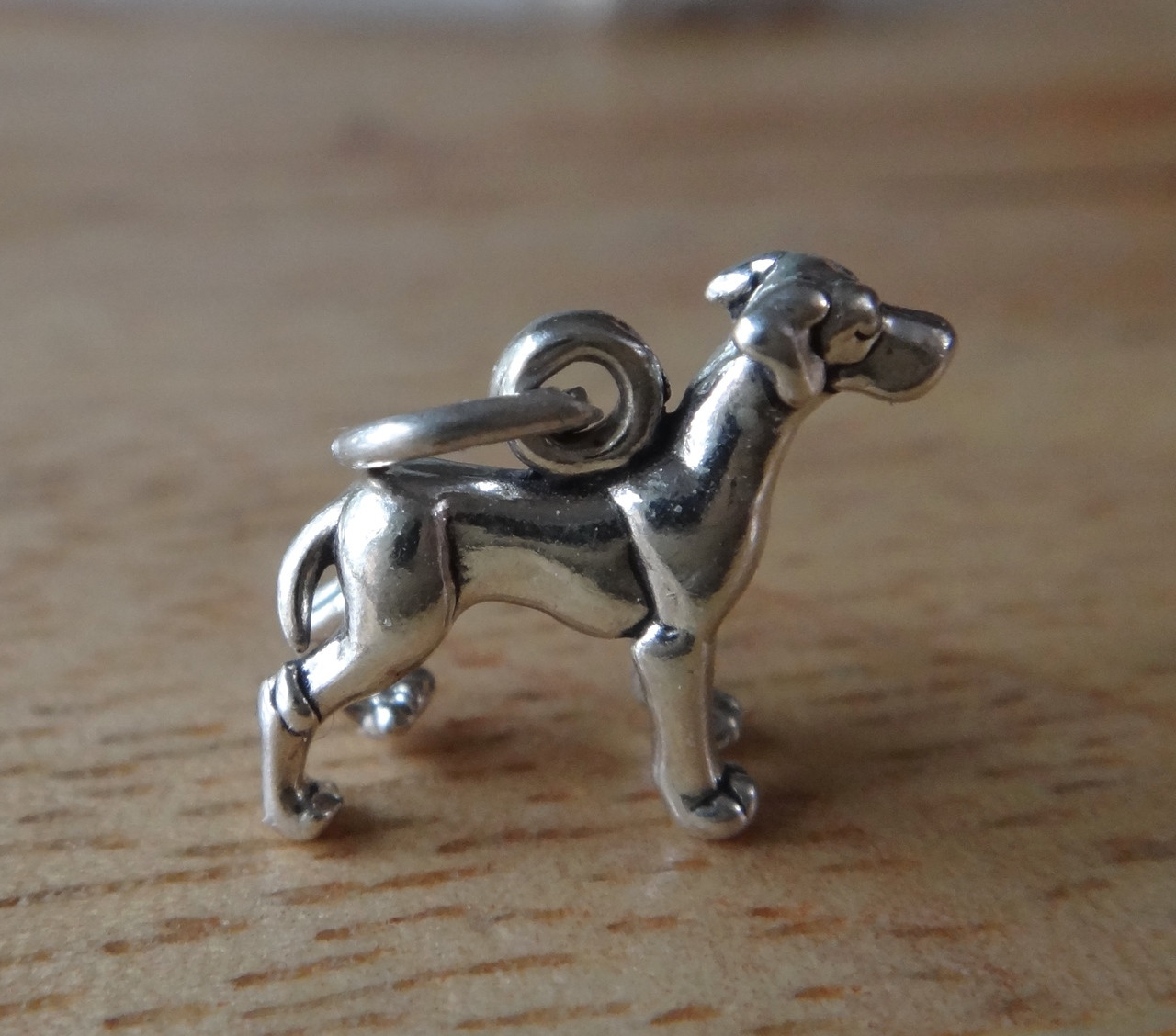 Sterling Silver 3D Tiny 13x15mm Detailed Great Dane Dog Charm