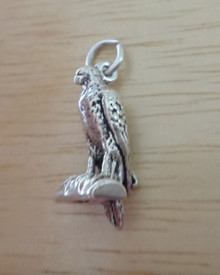 Peregrine Falcon standing Sterling Silver Charm