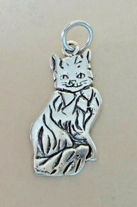 Flat Detailed Long Hair Cat Sterling Silver Charm