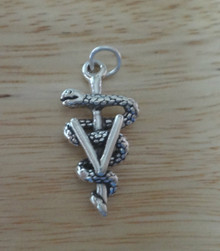 25x12mm Large Vet Veterinarian Caduceus Sterling Silver Charm