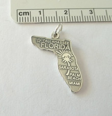 16x24mm Florida State Sun Palm Tree says Miami Sarasota Tallahasee Sterling Silver Charm