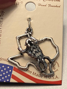 Sterling Silver 22x25mm 3D Texas Horned Toad Frog on Texas Shape TCU Charm