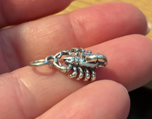 Sterling Silver 10x17mm Scorpio Scorpion Zodiac Charm
