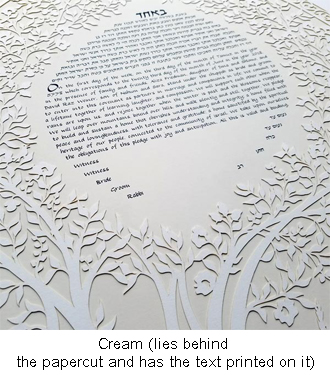 blooming-tree-cream-close-co.jpg blooming-tree-cream-close-co.jpg