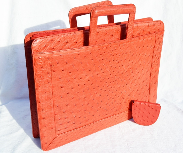 ostrich skin briefcase