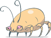 dust-mite-150x200.gif