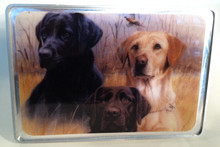 Labrador Retrievers
