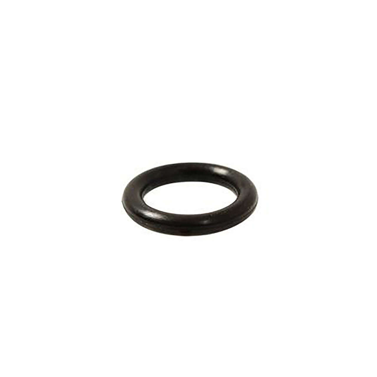O-Ring for UV Quartz Sleeve Seal 24.5mm - ESPWaterProducts.com