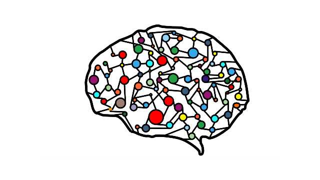 brain-image.jpg