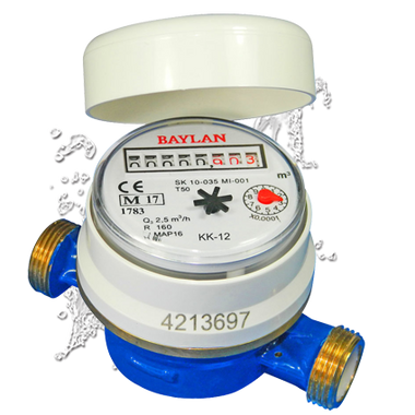 Potable Cold Water Meter (shown without pulse emitter or union tail pieces)