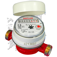 Potable Hot Water Meter (shown without pulse emitter or union tail pieces)