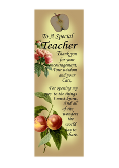 Teachers Plaque 6 x 18cm