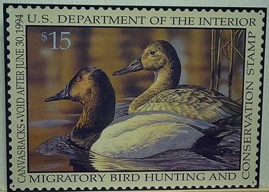 Photo of FEDERAL DUCK HUNTING STAMP 1994 WITH DRAWING CANVASBACK DUCKS IN MUTED COLORS