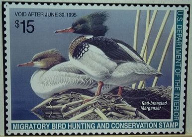 Photo of FEDERAL DUCK HUNTING STAMP 1995 WITH DRAWING OF RED BREASTED MERGANSER DUCKS