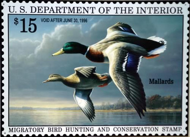 Photo of  FEDERAL DUCK HUNTING STAMP 1996 WITH DRAWING OF MALLARDS IN COLOR