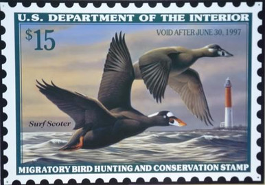 Photo of FEDERAL DUCK HUNTING STAMP 1997 WITH DRAWING OF SURF SCOOTERS