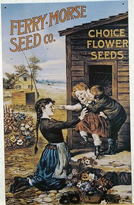 Photo of FERRY-MORSE SEEDS WITH SHARP COLORS AND DETAIL OF CHILDREN AROUND FLOWERS