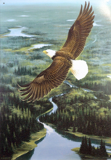 EAGLE IN FLIGHT SIGN SHOWS EAGLE SOARING HIGH ABOVE  A RIVER SURROUNDED BY FOREST, RICH COLOR AND NICE DETAIL