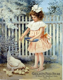 GALLANTS FEED STORE SIGN AD SHOWS LITTLE GIRL FEEDING A CHICKEN AND CHICKS, PICKET FENCE IN THE BACKGROUND VERY CUTE SIGN WARM COLORS GREAT DETAILS