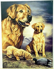 GOLDEN EXPERIENCE SIGN SHOWS A GOLDEN RETRIEVER AS A PUP, YEAR OLD AND ADULT, GREAT COLOR AND DETAIL