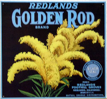 GOLDEN ROD SIGN, PICTURE OF GOLDEN ROD  REDLANDS GOLDEN ROD BRANS  DEEP RICH COLORS & GRAPHICS
