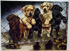 GRAHAM  JAILBIRDS SIGN?SHOWS A GROUP OF PUPS, CHOCOLATE, YELLOW AND BLACK LABS UP AGAINST THE FENCE, WITH DUCKS ON THE OTHER SIDE, WARM CUDDLY COLORS NICE DETAIL