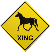 HORSE  XING SIGN