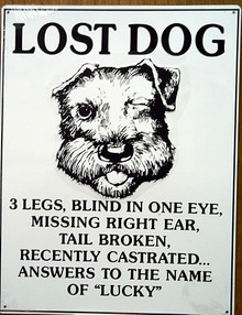 LOST DOG LUCKY SIGN